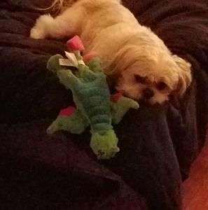 Meet your Posher, Mark